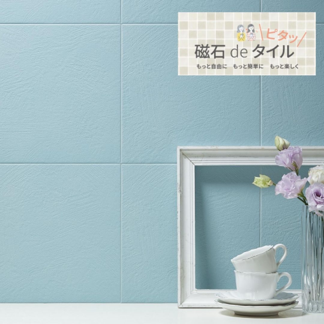 ｴｺｶﾗｯﾄﾌﾟﾗｽ　フェミーナ　グレイッシュブルー（FMN3N）